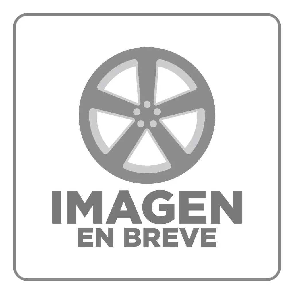 [666] MEDIDOR PARA RIN